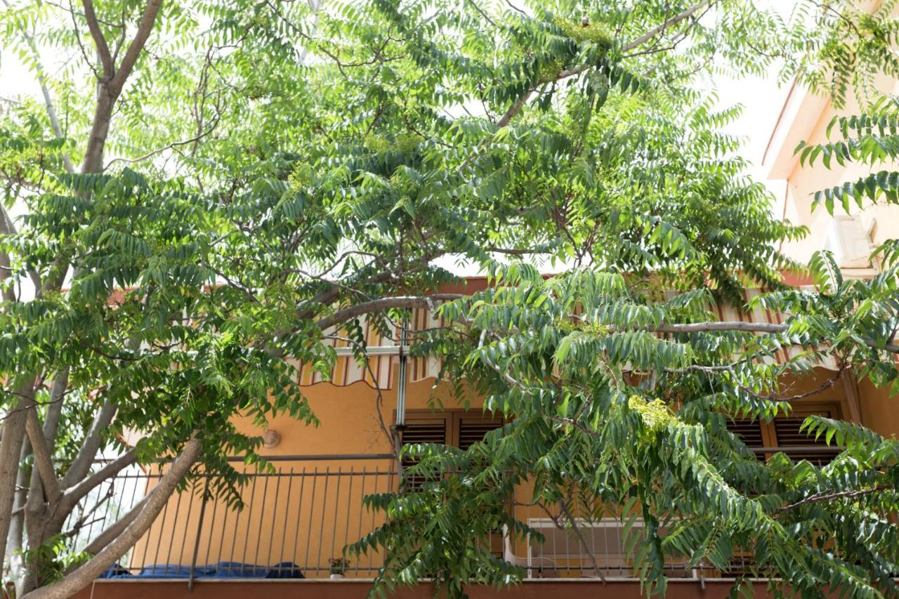 Casa Di Clara Apartment Acireale Exterior photo